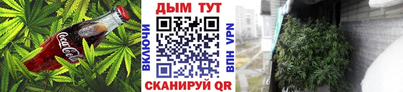 где можно купить   маркетплейс состав  Canna-Cookies марихуана  Кинешма 