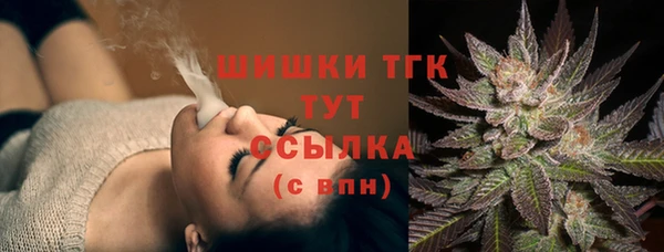 сатива Богородицк