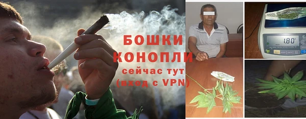 спайс Богородск