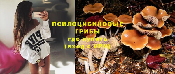 спайс Богородск