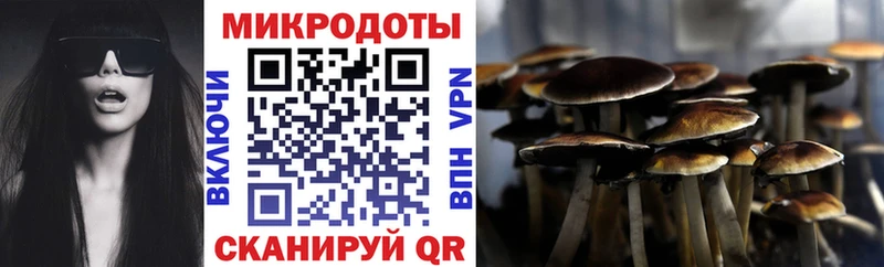 Псилоцибиновые грибы Psilocybe  Кинешма 